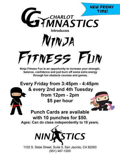 Ninja Fitness Fun