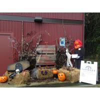 Ferndale Pumpkin People