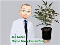 Joe Green, Home Grow Consultant