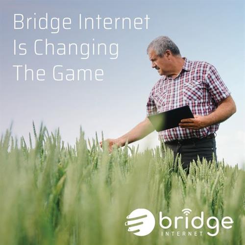 Bridge Internet Is Changing The Game