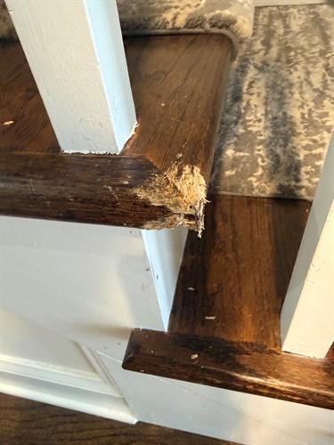 Damaged stair tread with a broken, splintered corner.