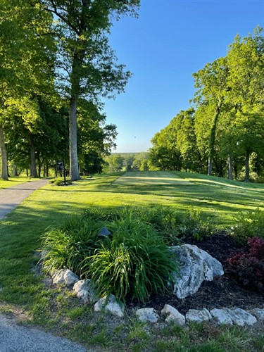 Gallery Image 10_Tee_Box_by_Michael_Synor.jpg