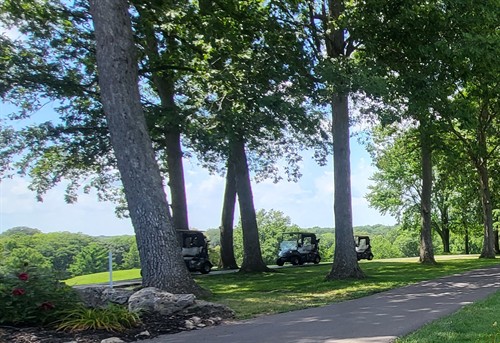 Gallery Image Member_Login_Image_Option_3.jpg