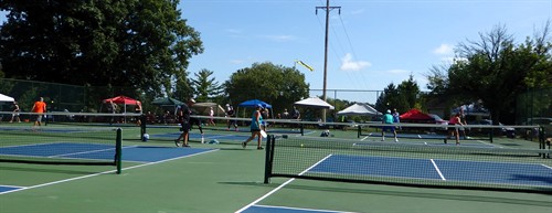 Gallery Image P8020024.JPG