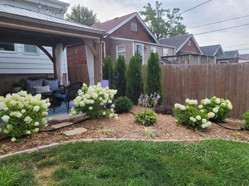 Backyard planted bed