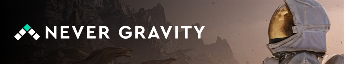 Never Gravity Web Design