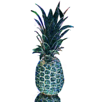 2018 Pineapple Ball