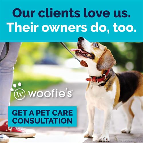 Personalized pet care services: Our clients love us. Their owners do too!