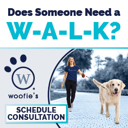 Personalized pet care services: does your dog need a walk?