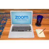 The Lifelong Learner: Zoom 101