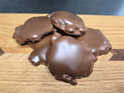 Gallery Image Turtle.png