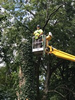 McCoy's Services, Inc. - Mocksville