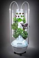 Virtual Tower Garden Party; Learning to Grow Produce Indoors using Aeroponics