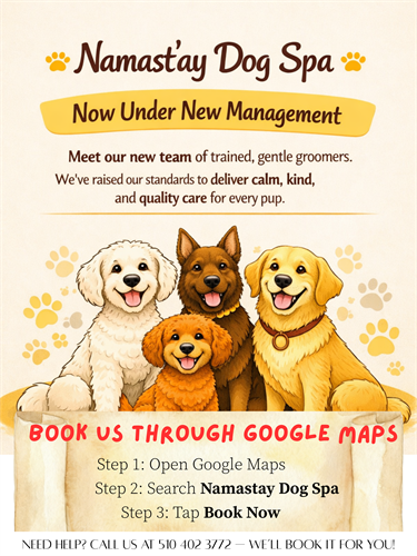 Our new management team brings elevated standards in pet grooming, comfort, and care. Visit us or book through Google Maps!