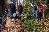 Ambler Arboretum Presents: Bark Walk