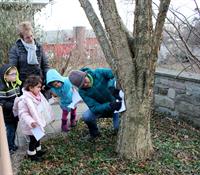 Tu B’Shevat: The Jewish New Year of Trees