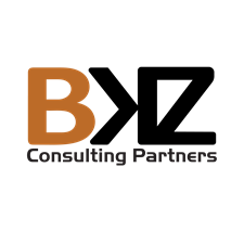 BKZ Consulting | Credit Card Processing | Consultants