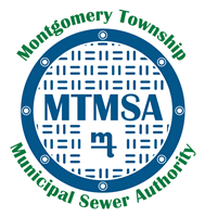 MTMSA