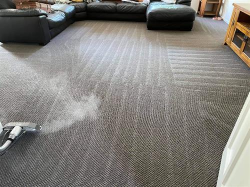 Steam Cleaning Steam Cleaning