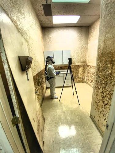 Mold Testing Mold Testing