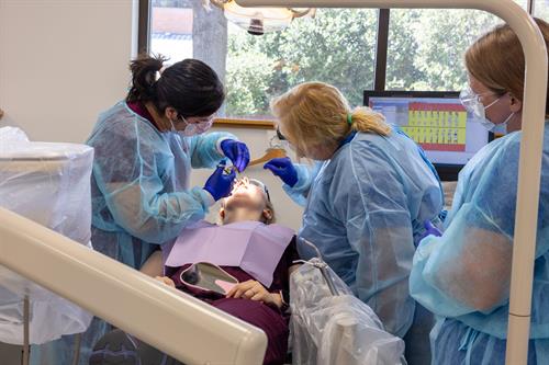 Gallery Image 822A3652.jpg