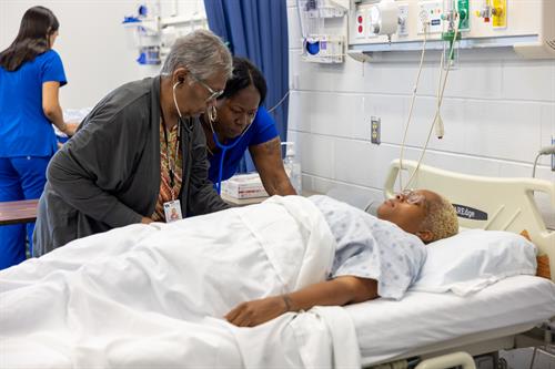 Gallery Image 822A4833.jpg