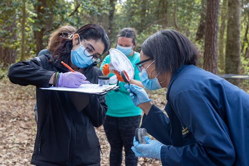 Gallery Image 822A5065.jpg