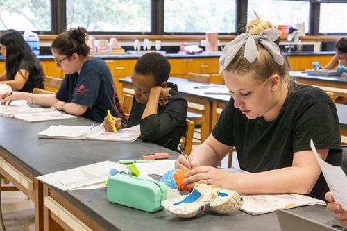 Gallery Image 822A6077.jpg