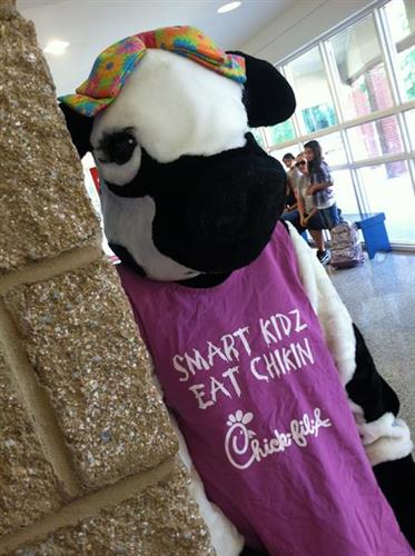 The baby cow loves visiting the schools for Spirit Nights. Cal or stop in today to arrange your Spirit Night Fundraiser.