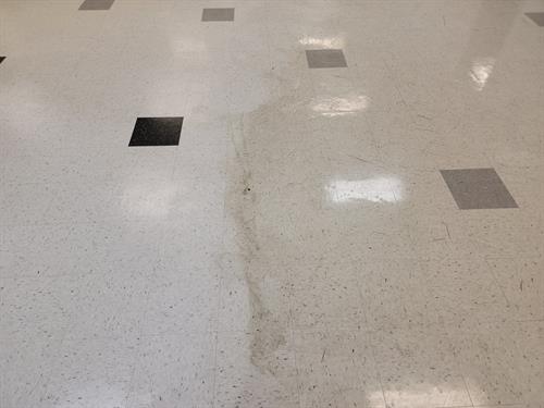 The Difference Floor Care Makes