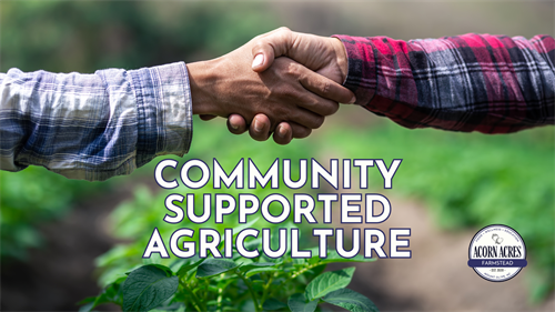 Gallery Image Acorn_Acres_Farmstead_(1).png