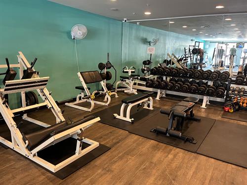 gym 3 gym 3