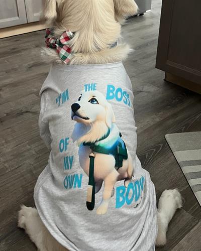 Gallery Image Boss.jpg Gallery Image Boss.jpg