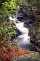 Gallery Image Maine_Std__096.jpg Gallery Image Maine_Std__096.jpg