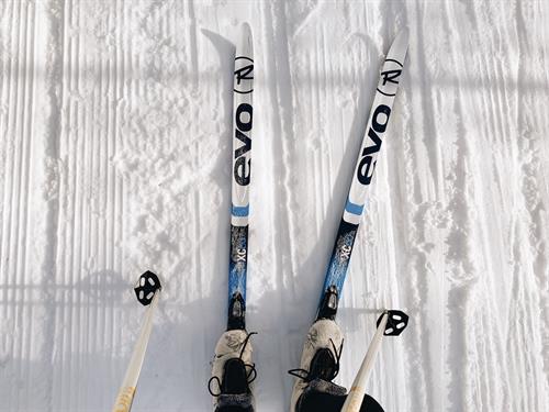 Rental skis