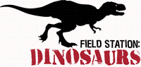 Field Station Dinosaurs