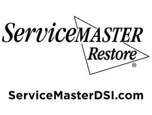 ServiceMaster DSI ServiceMaster DSI