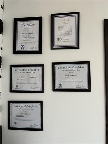 Certifications and Awards 
