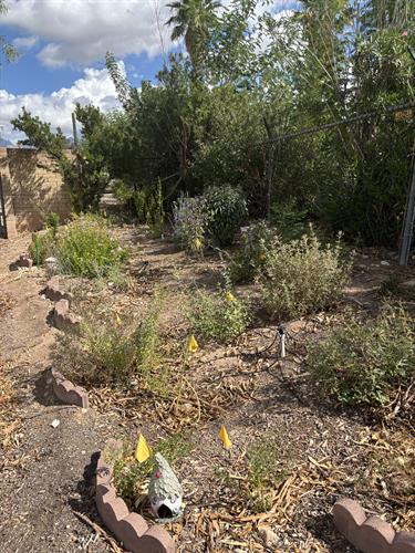 Gallery Image STHRC_Highland_Vista_Park_Garden_Collab.jpeg