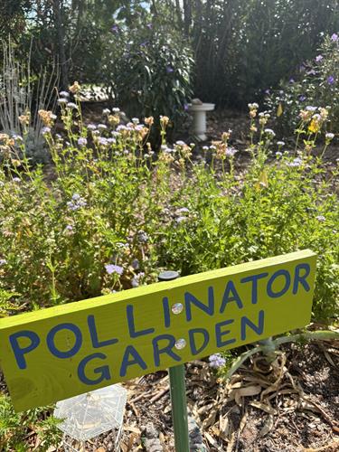 Gallery Image STHRC_Highland_Vista_Park_Garden_Pollinator_Garden_plants_and_sign.jpeg