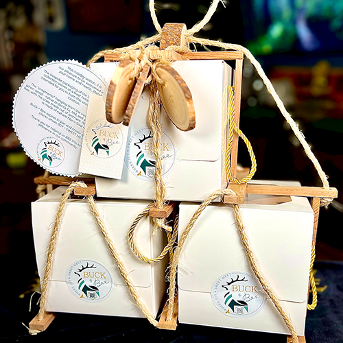 Buck + Bee Joy & Jolly holiday collection