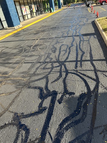 Gallery Image IMG_4342.jpeg