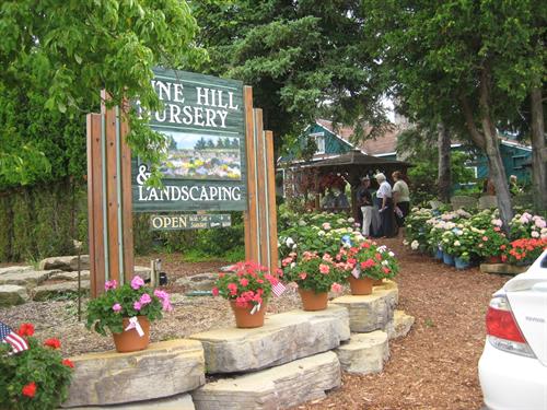 Pine Hill Pine Hill