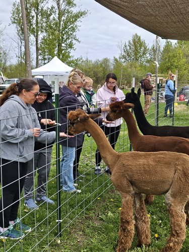 Farm Opening Day
