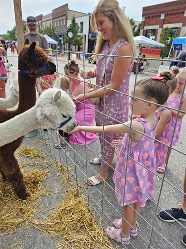 Elk Rapids Fall Festival