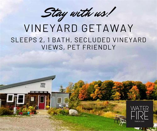 Stay in our AirB&B for a vineyard retreat