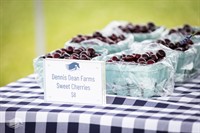 News Release: 5/27/2026Traverse City Horse Shows Launches Hilltop Market During Great Lakes Equestrian Festival