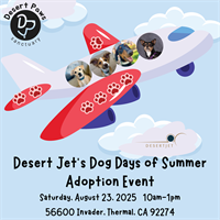 Desert Jet Dog Days of Summer