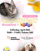 CATurday Breakfast + BINGO Returns to Palm Springs to Help Local Cats and Kittens in Need