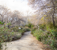 THE LIVING DESERT WELCOMES FALL WITH EXPANDED HOURS, REOPENED TRAILS  AND NEW SEASONAL EXPERIENCES BEGINNING OCTOBER 1